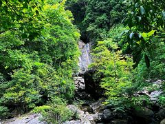 -花岩国家森林公园