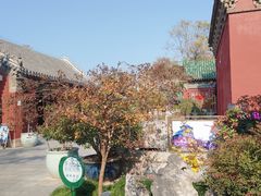 -延庆观