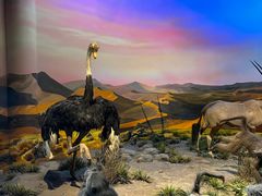 -国家自然博物馆