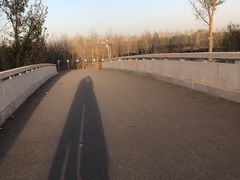 -东郊湿地公园