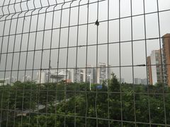 -华南师范大学(广州大学城校区)