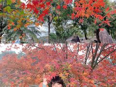-田野绿世界