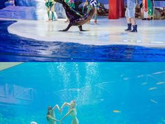 -三亚海昌梦幻海洋不夜城