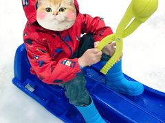 -Mr·Kuma酷么先生雪之乐园