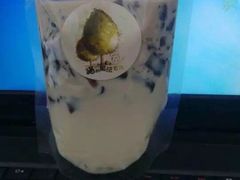 -猫的魔法密林(衣裳街店)