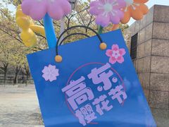-高东镇樱花园