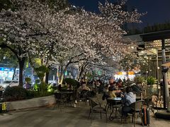 -玛格萝妮比萨屋(四平店)