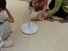 -藏猫猫咖啡主题馆(中央大道店)