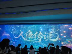 -海合安成都极地海洋公园