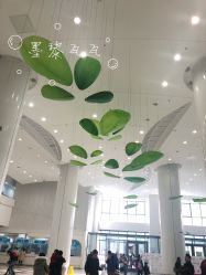 -上海市儿童医院(泸定路院区)