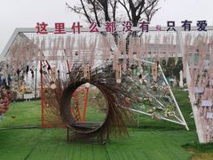 -荷兰花海