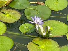 -国家植物园南园