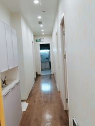 -YESIDO椰岛造型