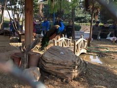 -陕西自然博物馆