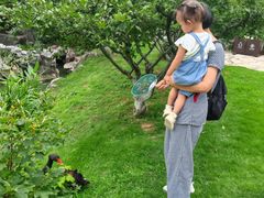 -吴记集庆门酸菜鱼店(集庆路店)