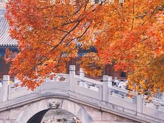 -香山公园