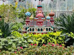 -南宫五洲植物乐园