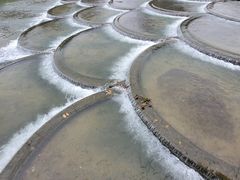 -明仕田园