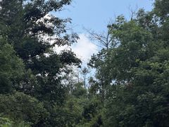 -青龙山国家森林公园