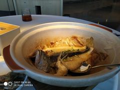 砂锅煲黄花鱼-鱼乐轩·俄罗斯海鲜直供餐厅(群力店)