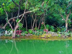 -人民公园(罗湖区)