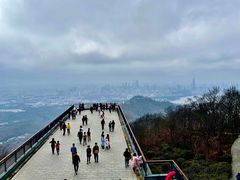 -紫金山山顶公园