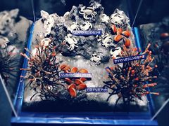 -鹿儿岛水族馆