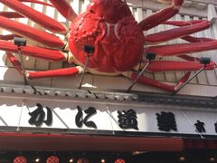 -蟹道乐(道顿堀本店)
