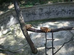 -西霞口神雕山野生动物世界