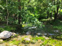 -玉渡山自然风景区