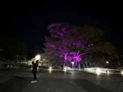 -悉尼歌剧院