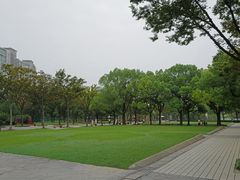 -新江湾城公园