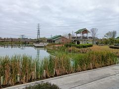 -王借岗森林公园