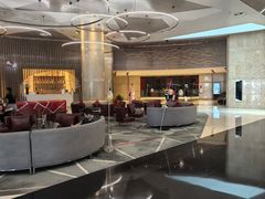 -南京禄口机场雅高铂尔曼大酒店