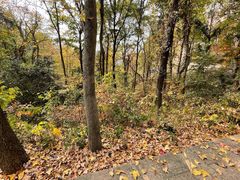 -浮山风景名胜区