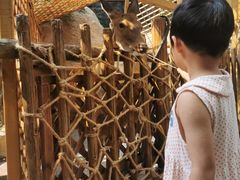 -杭州开元森泊度假乐园