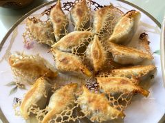 -石老头关东饺子王·东北菜(嘉华鑫城店)