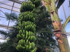 景点-呀路古热带植物园