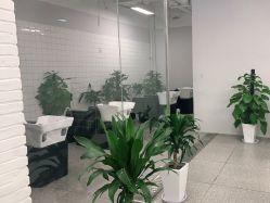 -P.STYLE派斯造型