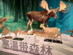 -中国湿地博物馆