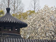 -好麺世家海鲜面馆(新建中路店)