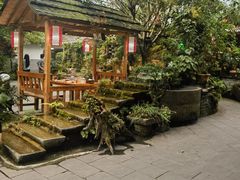 -青城甲(青城山店)