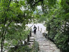 -江心屿景区