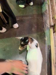 -Zoolung Zoolung动物主题公园(海信广场店)