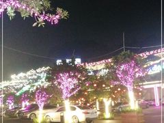 -枇杷园食为鲜火锅(南山店)