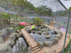 -大围山国家森林公园