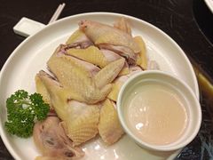 -新南华大酒店(广中店)