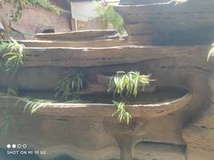 -山壹竹庭院餐厅
