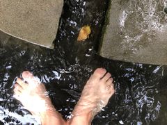 -成都市活水公园