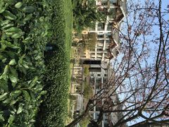 阳明温泉山庄-余姚阳明温泉山庄